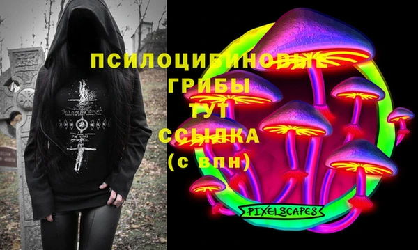 кокс Алексин