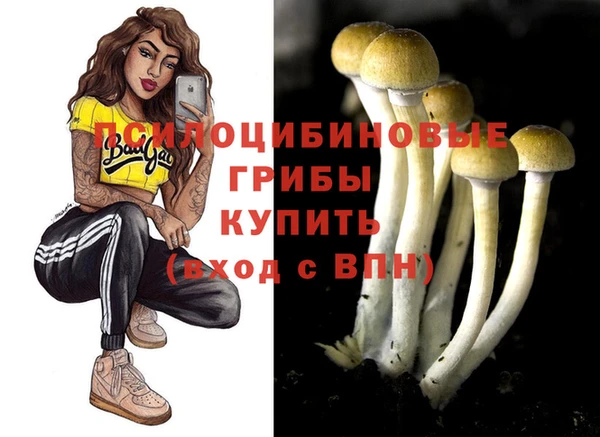 кокс Алексин
